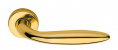 Ручка дверная FRASCIO Soft (inoxbrass)