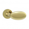 Ручка KNOB SYSTEM DESIGNS KIWI 606 (PB - полированная латунь)