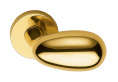 Ручка дверная FRASCIO Uovo (glossy painted brass)